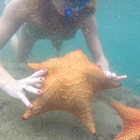 Kitnet Aconchegante A 200M Da Praia Angra dos Reis Exterior foto